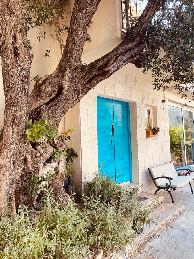 טוצפי Mediteran מראה חיצוני תמונה